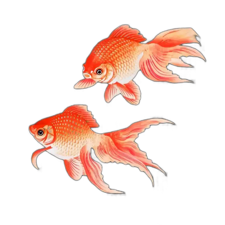 Fish animation